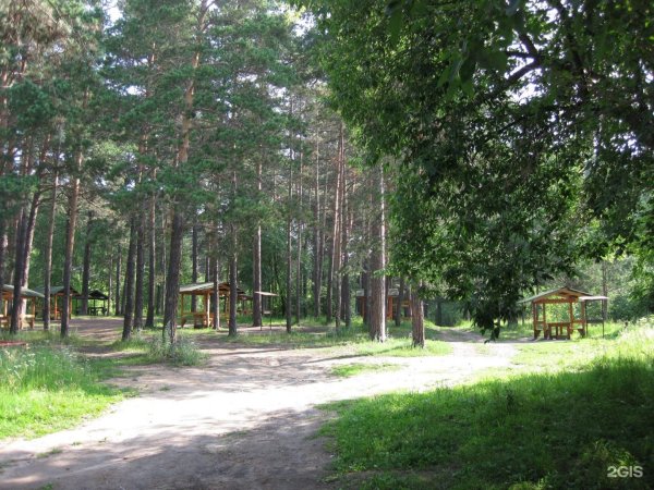 Заельцовский парк Новосибирск