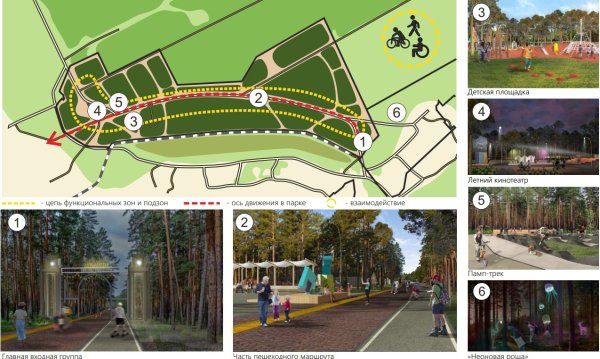 Новосибирск благоустройство Заельцовский парк