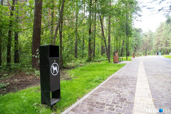 Парк Александров