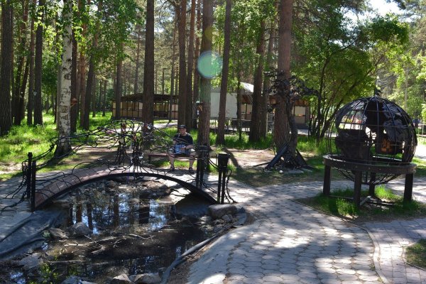 Заельцовский парк Новосибирск фото лето