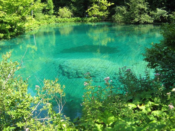 Голубое озеро Солецкий район