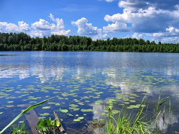 Озеро Китеж Нижегородская область