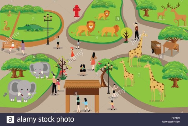 Карта зоопарка мультяшная