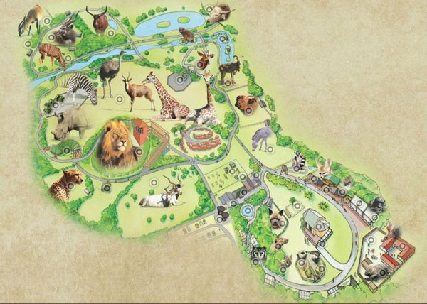 Планировка зоопарка