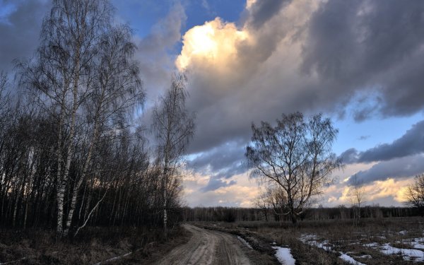 Пасмурная ранняя Весна