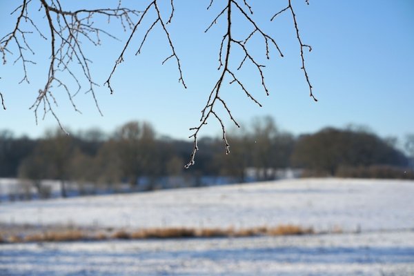 Снег апрель природа