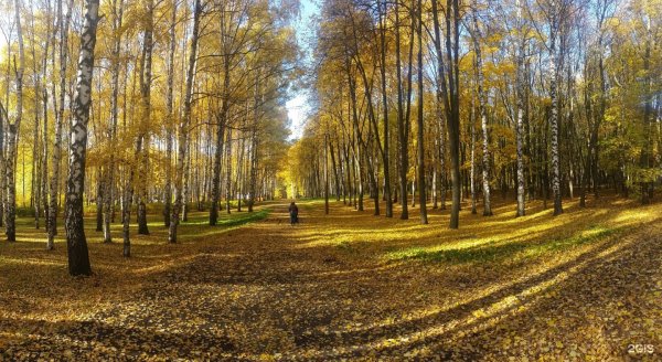 Парк Швейцария Нижний Новгород осень