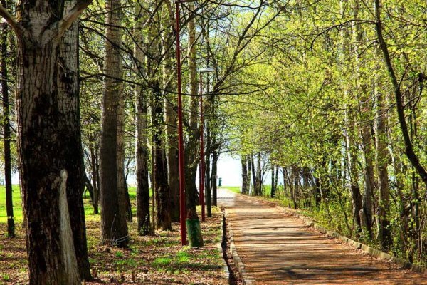 Центральный парк Швейцария (Нижний Новгород)