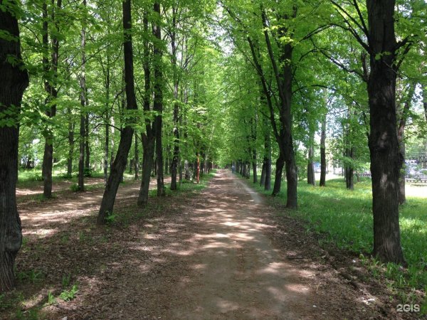 Центральный парк Швейцария (Нижний Новгород)