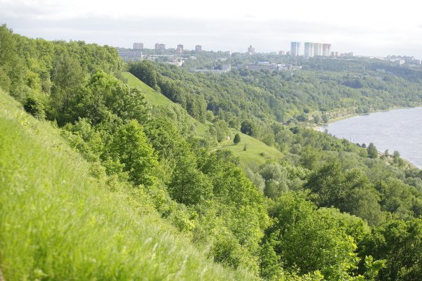 Дендрарий Нижний Новгород парк Швейцария
