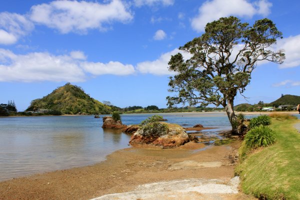 Саванны на озере Виктория