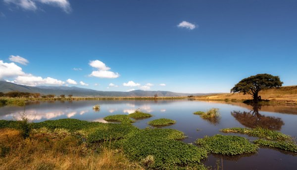 Африка озера саванны реки