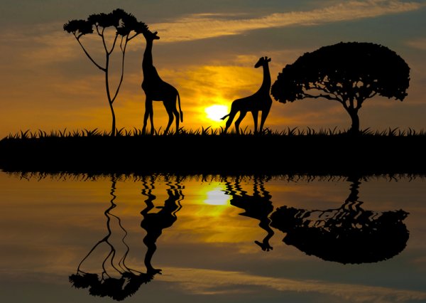 Жираф на озере Чад Гумилев