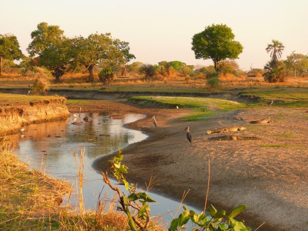 Национальный парк Крюгера река Лимпопо