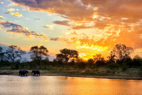 Озеро Чад в Африке