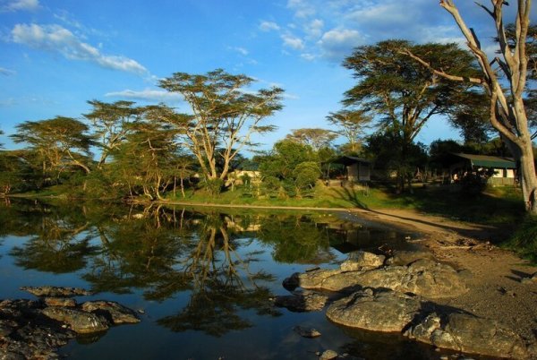 Национальный парк Найроби растительность