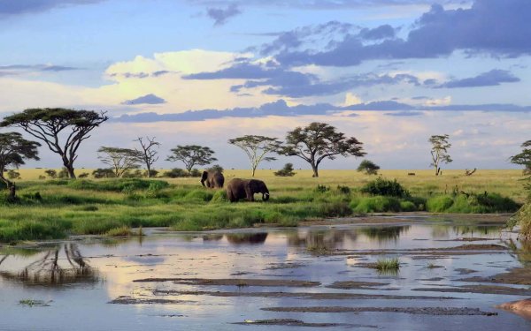 Аруша Танзания климат