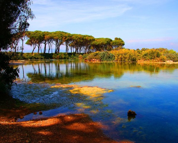 Африка озера саванны реки