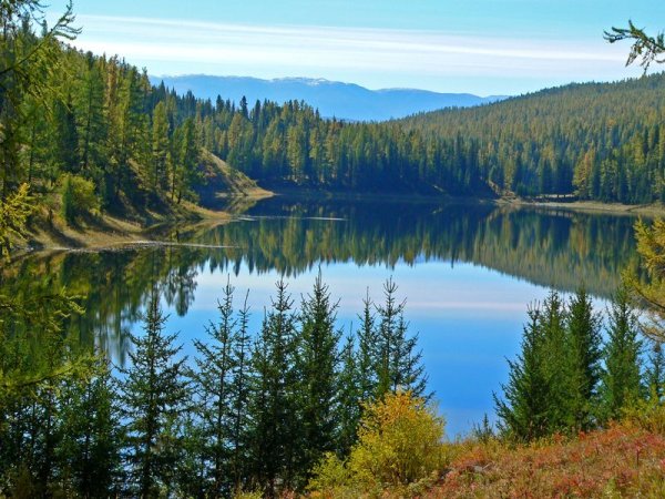 Озеро в сибирской тайге
