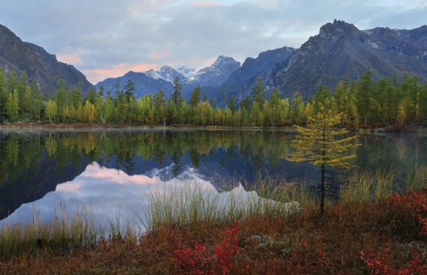 Витимский заповедник хребет Кодар