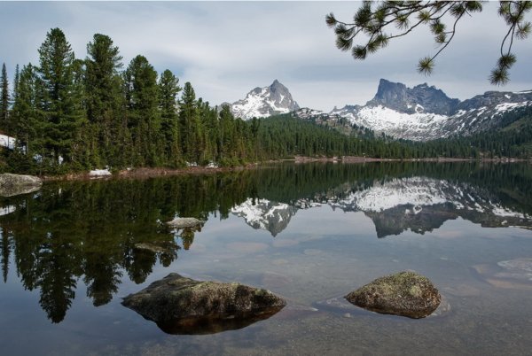 Природа Сибири