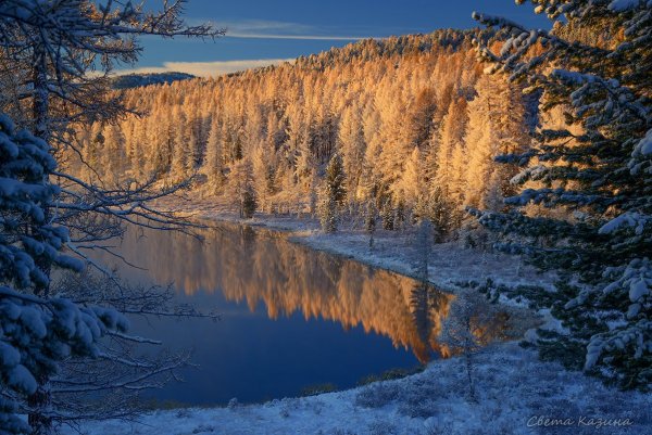 Улаганское Нагорье горный Алтай