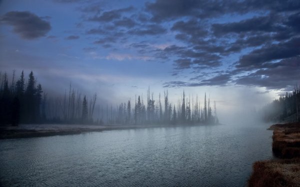 Мрачный пейзаж