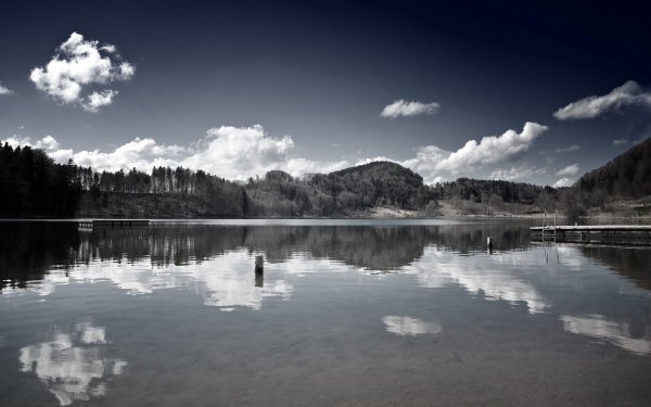 Черно белая природа