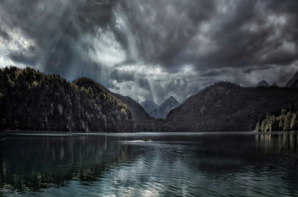 Норвегия горы лес туман