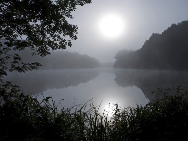 Озеро в тумане ночью