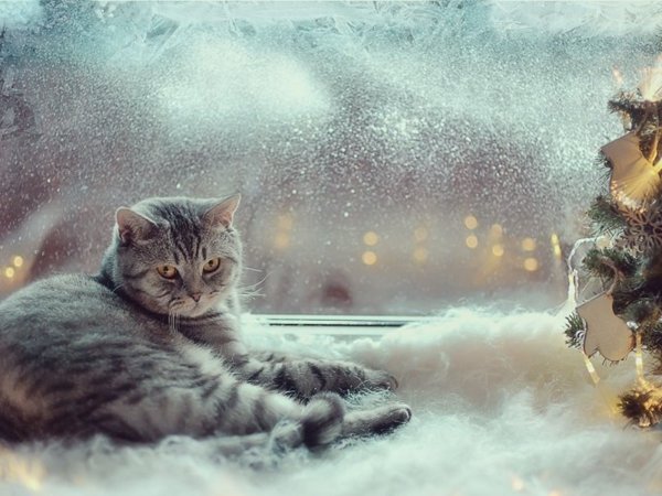 26 Января – Ермилов (Ерёмин) день