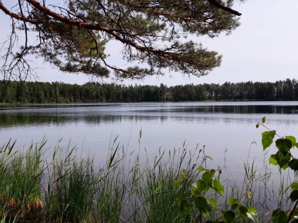 Озеро карась Йошкар Ола