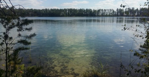 Озеро карась Йошкар Ола