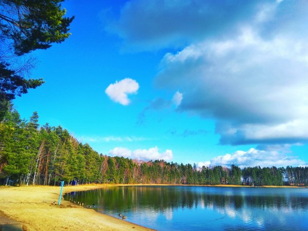 Озеро карась в Марий Эл Сосновый Бор