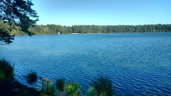 Озеро карась Йошкар Ола