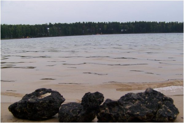 Оз карась Марий Эл