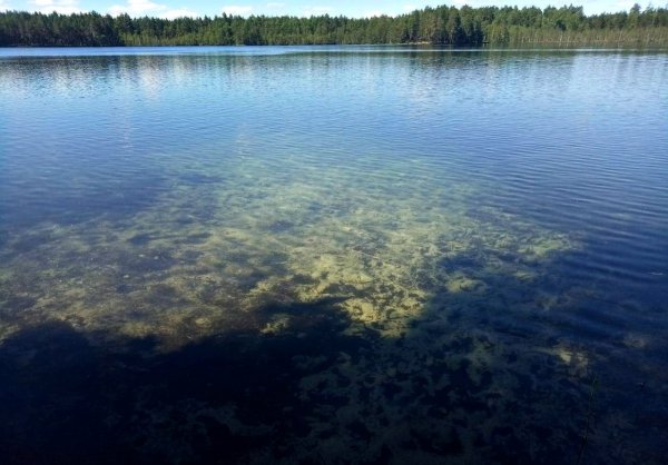 Озеро Нужьяр Марий Эл