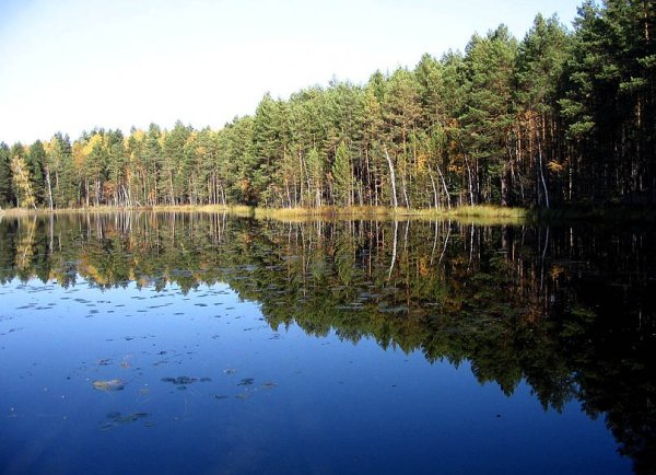 Озеро карась Йошкар Ола