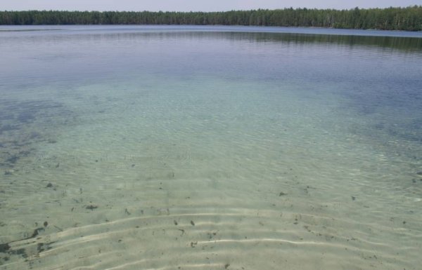 Нуж Яр озеро Марий Эл