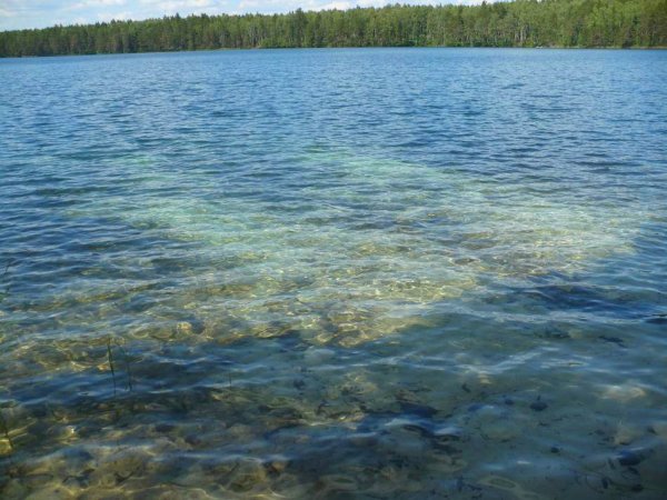 Самое чистое озеро Марий Эл
