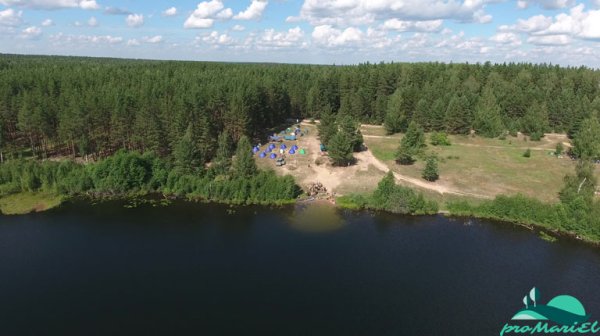 Сайвер Йошкар-Ола озеро