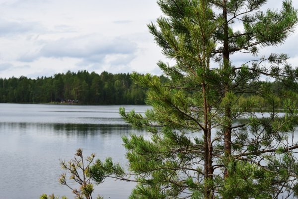 Республика Марий Эл озеро Нужьяр