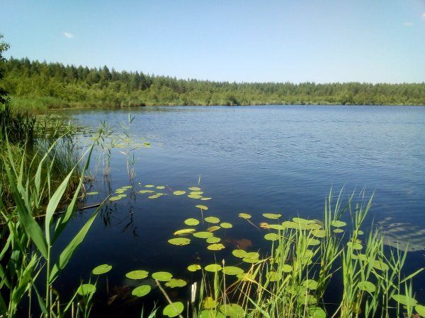 Озеро Чуркан Марий Эл