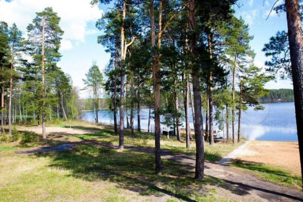 Таир Марий Эл