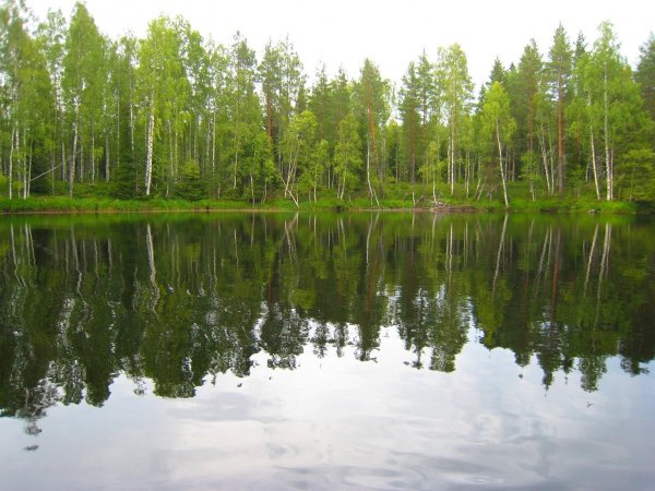 Озеро Чуркан Марий Эл