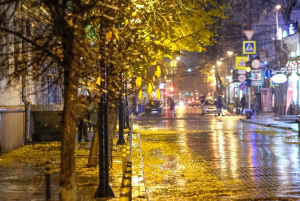 Краснодар в ноябре