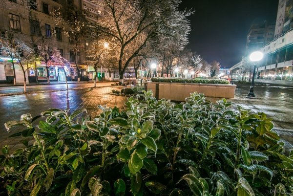 Краснодар в январе