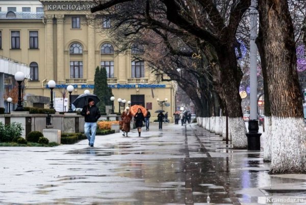 Дождь в Краснодаре