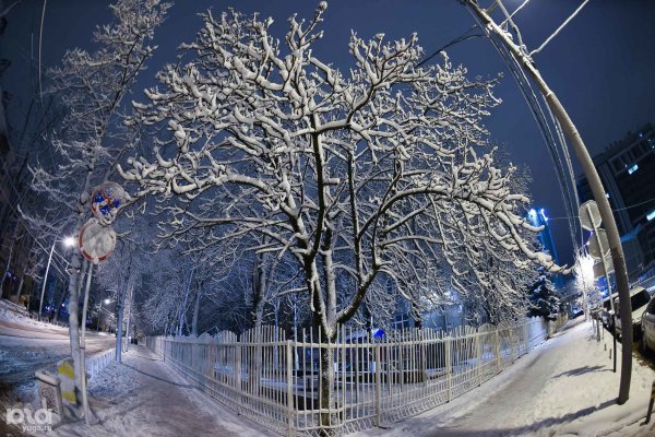 Заснеженный Краснодар