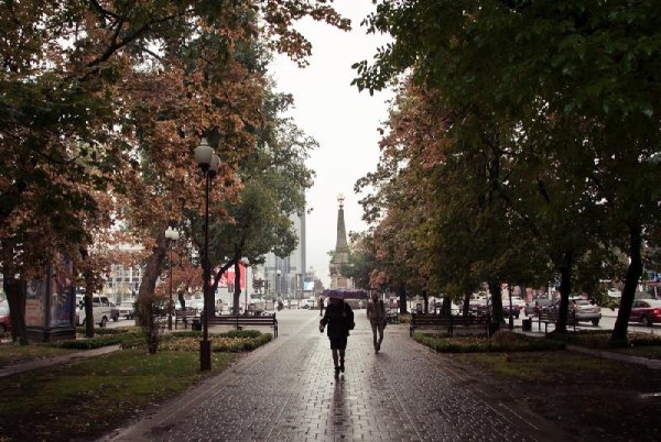Дождь в Краснодаре